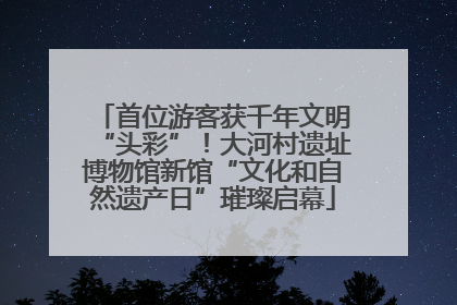 首位游客获千年文明“头彩”！大河村遗址博物馆新馆“文化和自然遗产日”璀璨启幕