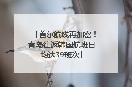 首尔航线再加密！青岛往返韩国航班日均达39班次