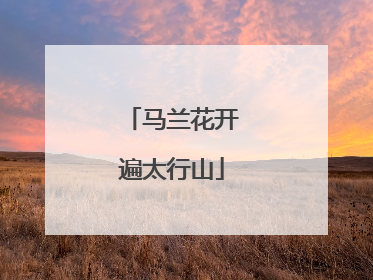 马兰花开遍太行山