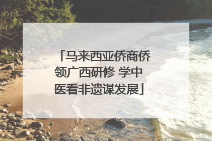 马来西亚侨商侨领广西研修 学中医看非遗谋发展