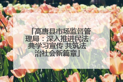 高唐县市场监督管理局：深入推进民法典学习宣传 共筑法治社会新篇章