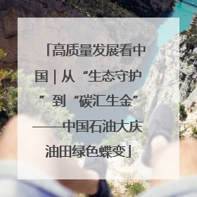 高质量发展看中国｜从“生态守护”到“碳汇生金”——中国石油大庆油田绿色蝶变