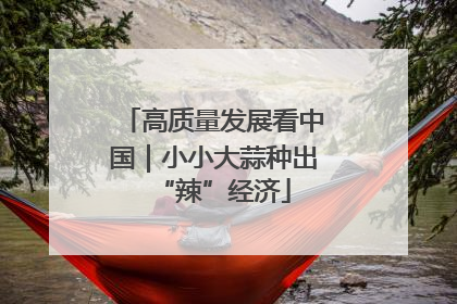 高质量发展看中国｜小小大蒜种出“辣”经济