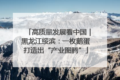 高质量发展看中国｜黑龙江绥滨：一枚鹅蛋打造出“产业图腾”