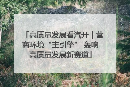 高质量发展看汽开｜营商环境“主引擎” 轰响高质量发展新赛道