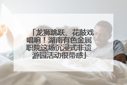 龙狮跳跃、花鼓戏唱响！湖南有色金属职院这场沉浸式非遗游园活动很带感