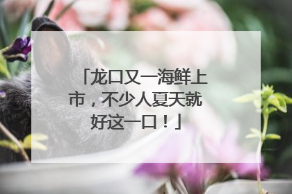 龙口又一海鲜上市，不少人夏天就好这一口！