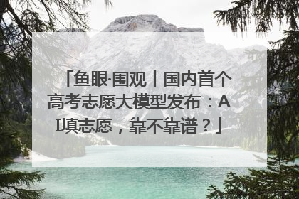 鱼眼·围观丨国内首个高考志愿大模型发布：AI填志愿，靠不靠谱？