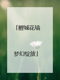 鲤城花墙 梦幻绽放