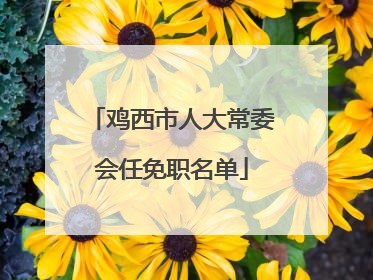 鸡西市人大常委会任免职名单