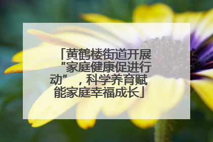 黄鹤楼街道开展“家庭健康促进行动”，科学养育赋能家庭幸福成长