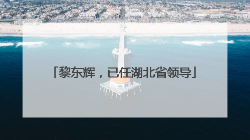 黎东辉，已任湖北省领导