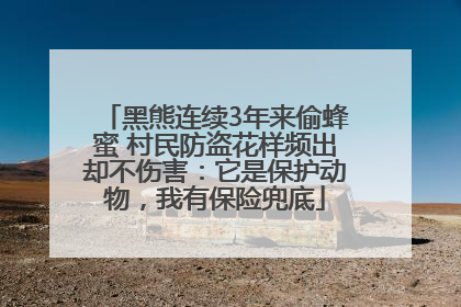 黑熊连续3年来偷蜂蜜 村民防盗花样频出却不伤害：它是保护动物，我有保险兜底