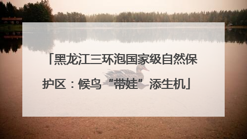 黑龙江三环泡国家级自然保护区：候鸟“带娃”添生机