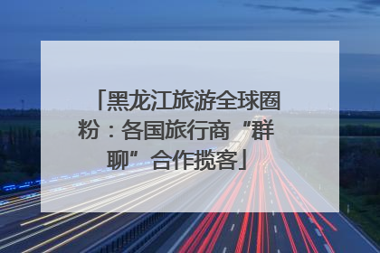 黑龙江旅游全球圈粉：各国旅行商“群聊”合作揽客