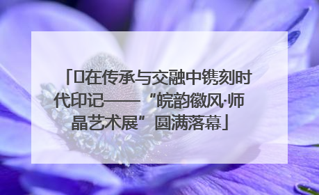 ﻿在传承与交融中镌刻时代印记——“皖韵徽风·师晶艺术展”圆满落幕