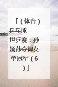 （体育）乒乓球——世乒赛：孙颖莎夺得女单冠军（6）