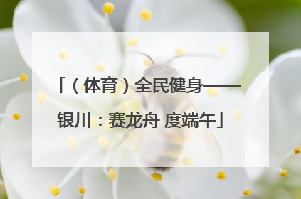 （体育）全民健身——银川：赛龙舟 度端午