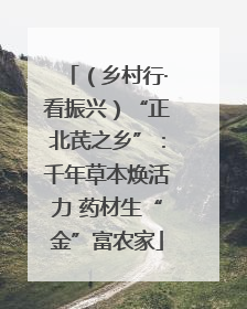 （乡村行·看振兴）“正北芪之乡”：千年草本焕活力 药材生“金”富农家