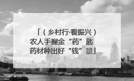 （乡村行·看振兴）农人手握金“药”匙 药材种出好“钱”景