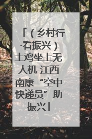 （乡村行·看振兴）土鸡坐上无人机 江西南康“空中快递员”助振兴
