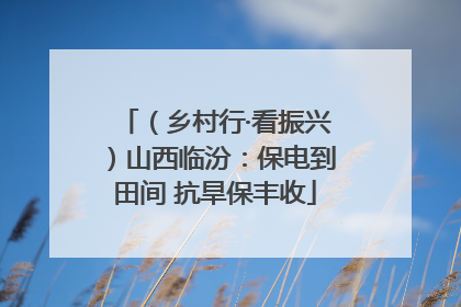 （乡村行·看振兴）山西临汾：保电到田间 抗旱保丰收