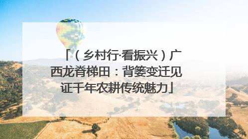 （乡村行·看振兴）广西龙脊梯田：背篓变迁见证千年农耕传统魅力