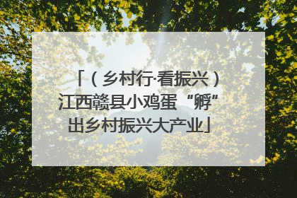 （乡村行·看振兴）江西赣县小鸡蛋“孵”出乡村振兴大产业