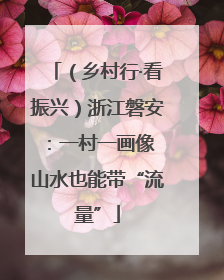 （乡村行·看振兴）浙江磐安：一村一画像 山水也能带“流量”