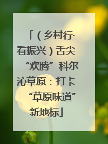 （乡村行·看振兴）舌尖“欢腾”科尔沁草原：打卡“草原味道”新地标