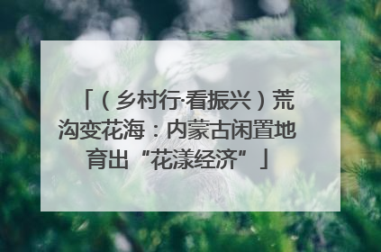（乡村行·看振兴）荒沟变花海：内蒙古闲置地育出“花漾经济”