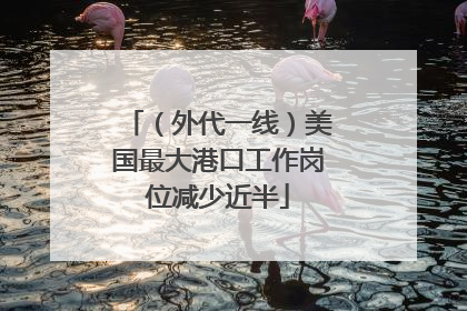 （外代一线）美国最大港口工作岗位减少近半
