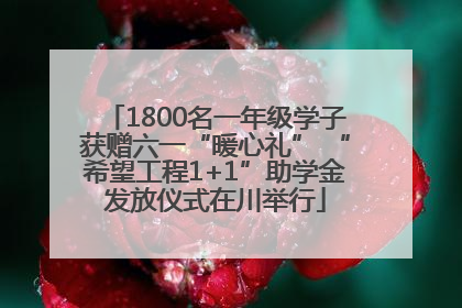 1800名一年级学子获赠六一“暖心礼” “希望工程1+1”助学金发放仪式在川举行