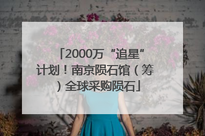 2000万“追星”计划！南京陨石馆（筹）全球采购陨石