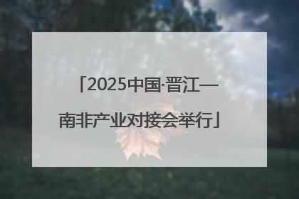 2025中国·晋江—南非产业对接会举行