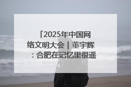 2025年中国网络文明大会｜董宇辉：合肥在记忆里很遥远也很亲切