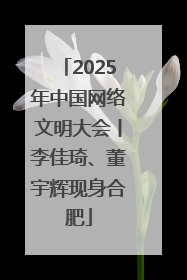 2025年中国网络文明大会丨李佳琦、董宇辉现身合肥