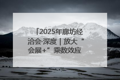 2025年廊坊经洽会·深度｜放大“会展+”乘数效应 打造消费新场景