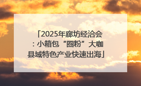 2025年廊坊经洽会：小箱包“圈粉”大咖 县域特色产业快速出海