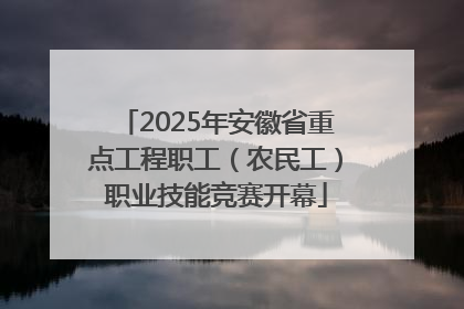 2025年安徽省重点工程职工（农民工）职业技能竞赛开幕