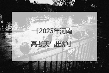 2025年河南高考天气出炉