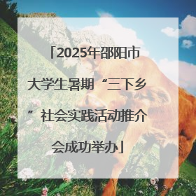 2025年邵阳市大学生暑期“三下乡”社会实践活动推介会成功举办