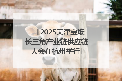 2025天津宝坻长三角产业链供应链大会在杭州举行
