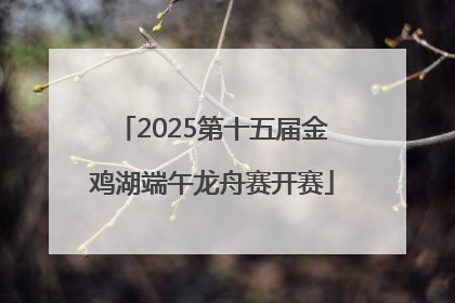 2025第十五届金鸡湖端午龙舟赛开赛