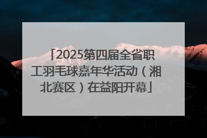 2025第四届全省职工羽毛球嘉年华活动（湘北赛区）在益阳开幕