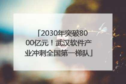 2030年突破8000亿元！武汉软件产业冲刺全国第一梯队