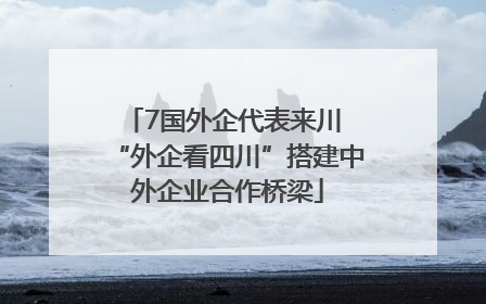 7国外企代表来川 “外企看四川”搭建中外企业合作桥梁