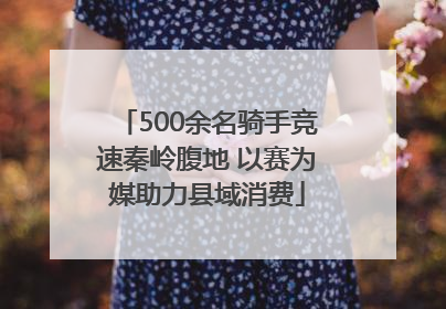 500余名骑手竞速秦岭腹地 以赛为媒助力县域消费