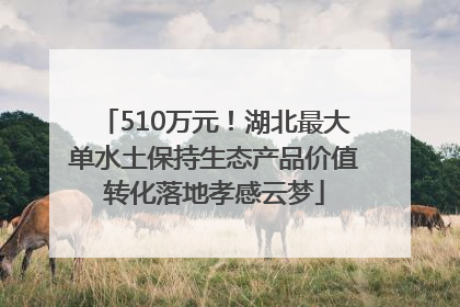 510万元！湖北最大单水土保持生态产品价值转化落地孝感云梦