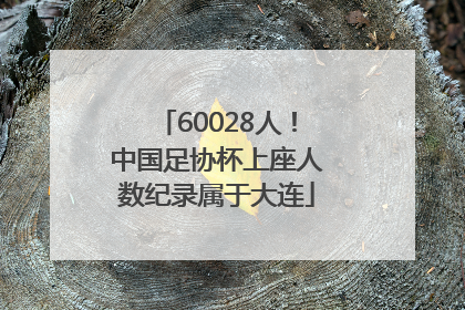 60028人！中国足协杯上座人数纪录属于大连